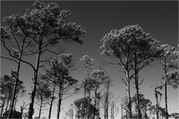 PANAMA CITY BEACH, FLORIDA