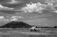 MT. ARAYAT, PAMPANGA, PHILIPPINES